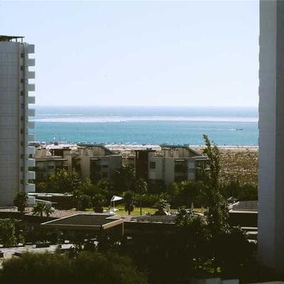 Organic Kampot Pepper — Premium Black Peppercorns 250g